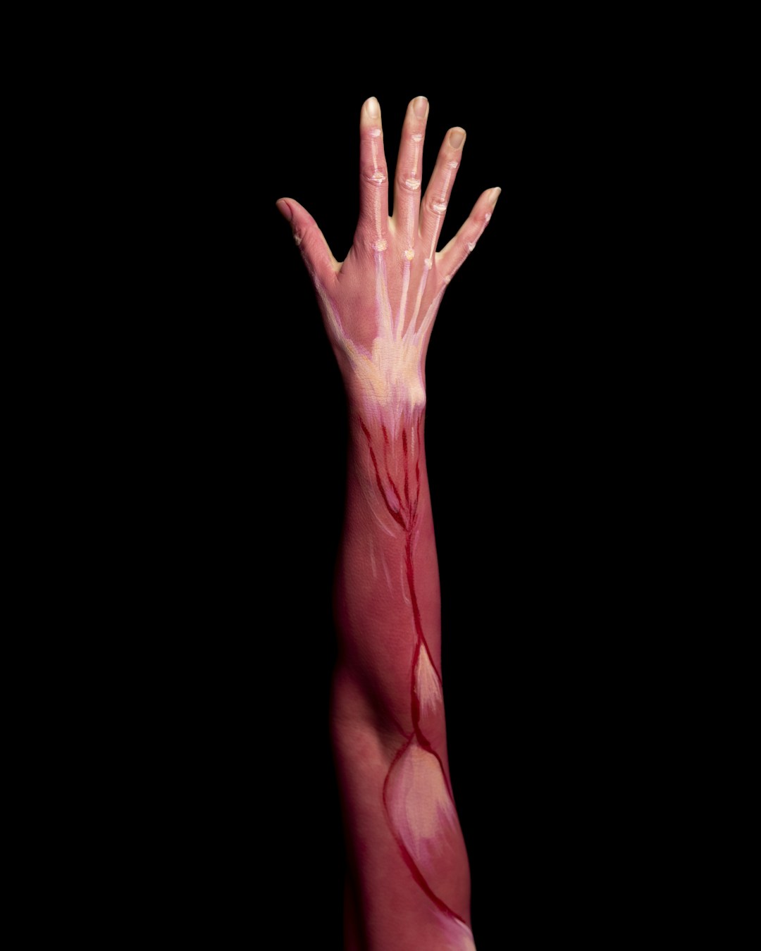An abstract visualization of blood flow and circulation in the hand, showing the vascular network that PPG sensors measure through